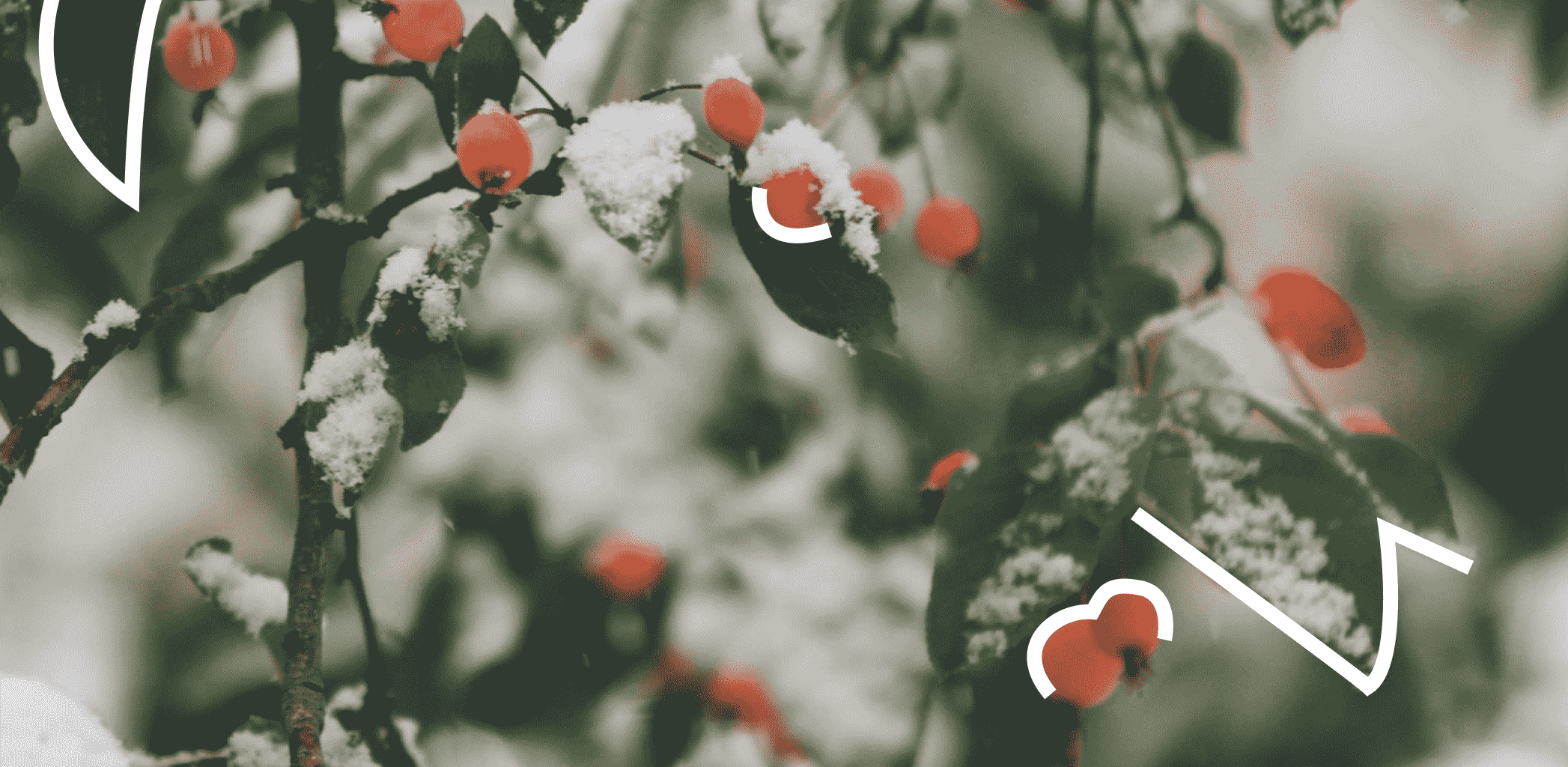 Конференция «Сила четырех-2025». Тренды и реальность рынка недвижимости